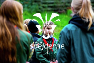 Bæver og ulve-turnering 