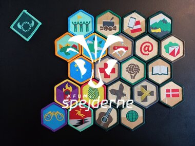 Troppens mærker og arbejdsprogram