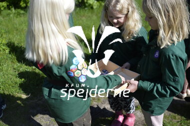 Ulvesommerlejr i Ikast gruppe