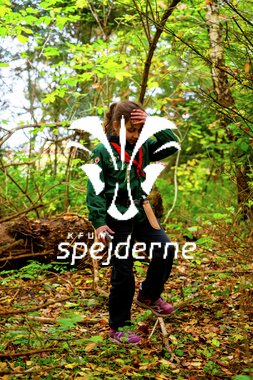 Bæver og ulve-turnering 