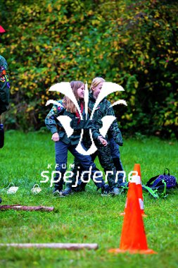 Bæver og ulve-turnering