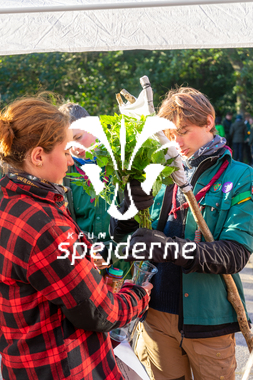 Diamant - Ole Thye Gram - 2023-7.JPG