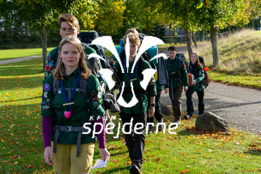 Diamant Skovhuset - Ole Thye Gram - 2022 -22.JPG