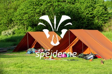 PLPA 2019_Lasse Mørch