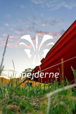 DM i spejder - Finale - Ole Thye Gram -214.JPG