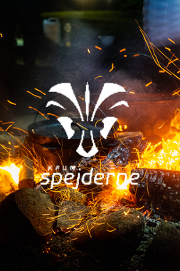 Diamant - Ole Thye Gram - 2023-25.JPG