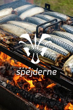 Sommerlejr Hærulf  -19.JPG