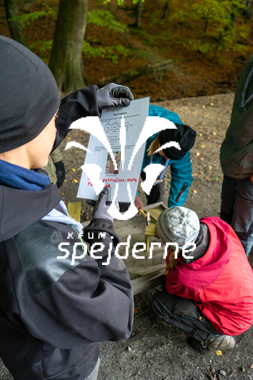 Diamant Skovhuset - Ole Thye Gram - 2022 -17.JPG