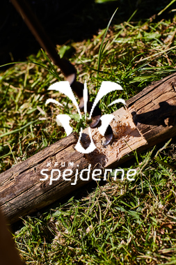 _29A7104_Johny Kristensen.jpg