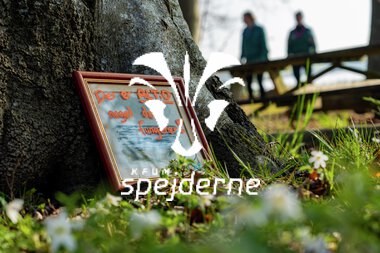 ULK73 - UDVALGT-21.JPG