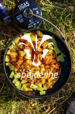 DM i spejder - Finale - Ole Thye Gram -183.JPG