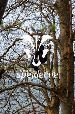 ULK73 - UDVALGT-11.JPG