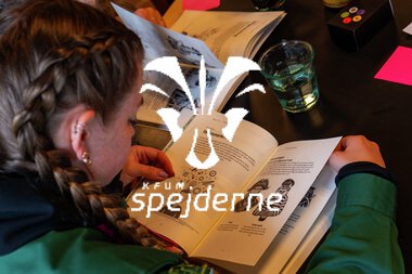 ULK73 - UDVALGT-7.JPG