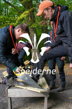 Diamant Skovhuset - Ole Thye Gram - 2022 -18.JPG