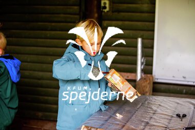 Bæver og ulve-turnering