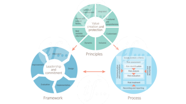 if-editorial-falck-1920