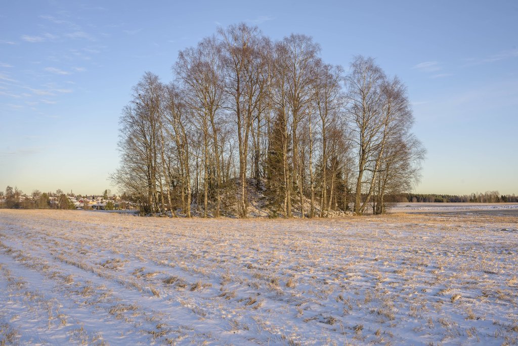 Snilehaugen Brotnu gård 