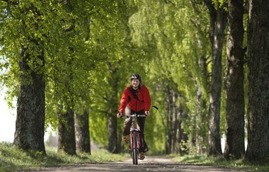 Sykkel nedover haug allee 