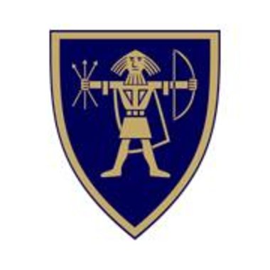 Kommunevåpen profilbilde