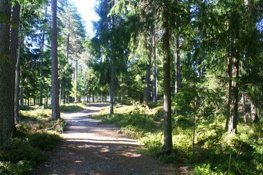 Tursti Algarheim SKole