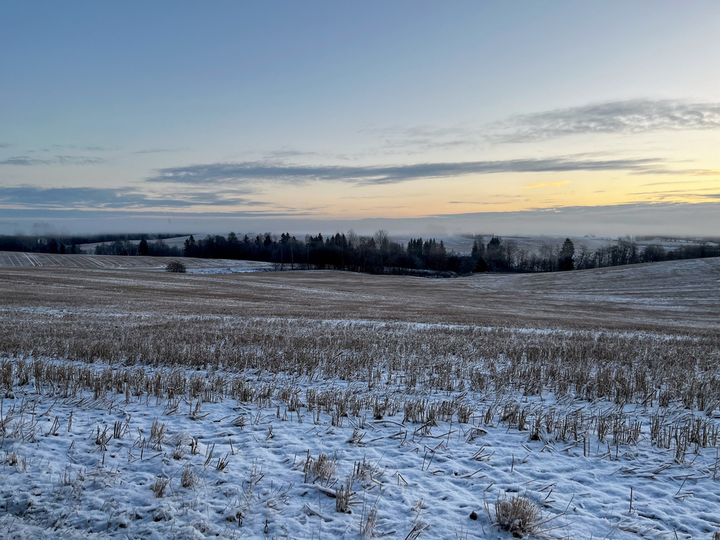 Åker ved Ullensaker kirke vinter
