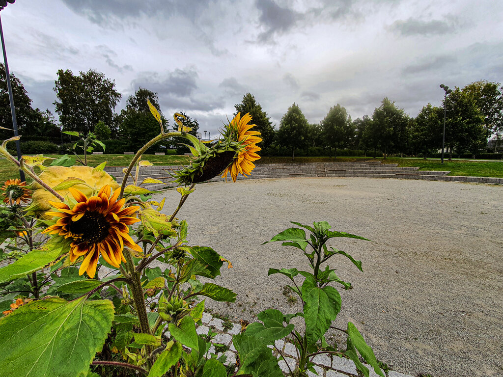 Romsaasparken, Jessheim