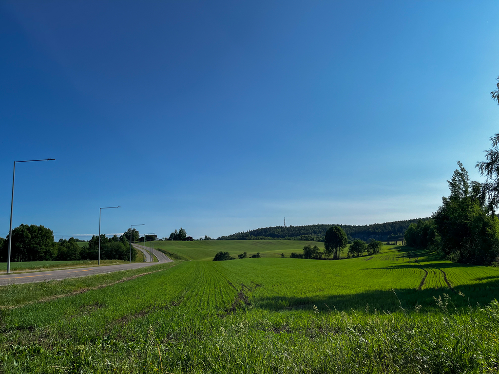 Vei mellom Kløfta og Jessheim, Trondheimsvegen