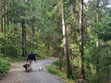 Turområde, Jessheim