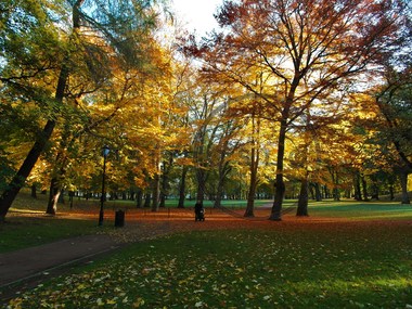 Høst i slottsparken