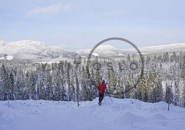 Skitur i Nordmarka