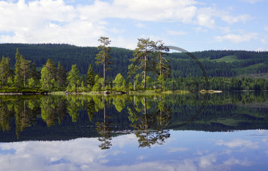 Sommerdag ved Vesleflåtan