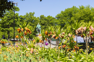 Blomster ved Spikersuppa