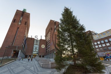 Juletre foran Rådhuset