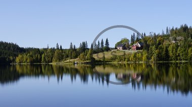 Heggelia i Nordmarka