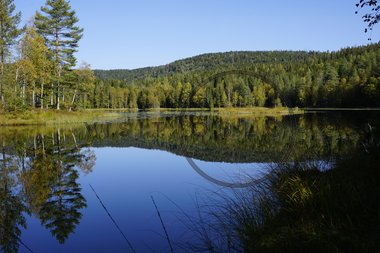 Øvre Lysedammen, Nordmarka