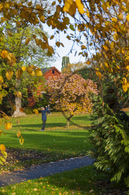 Høst i Botanisk hage