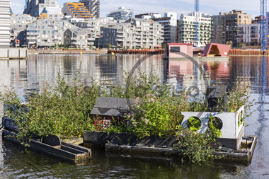 Andehus på vannet i Bjørvika
