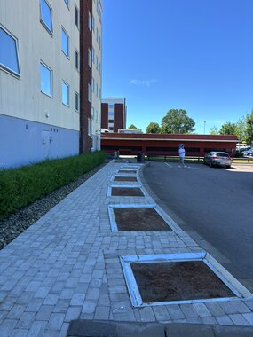 Frame - option for AWS Flex