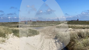 Cheminova forurening 