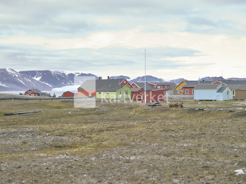 image-description