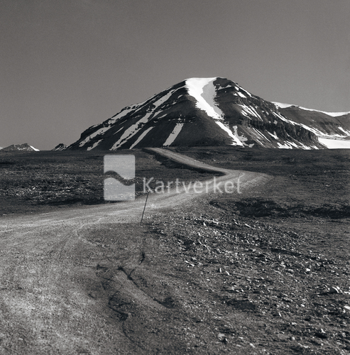 image-description