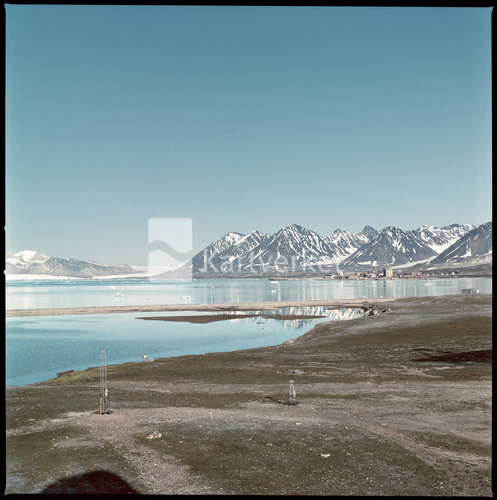 image-description