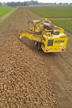 Harvester near Schladen