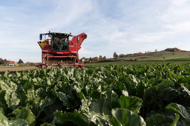 20131022_Nordstemmen_campaign