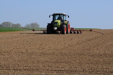 Beet Cultivation in Germany 2010