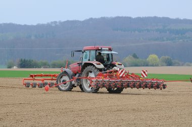 Beet Cultivation in Germany 2010