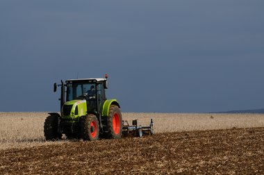 Beet cultivation in Germany 2010