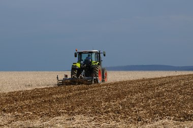 Beet cultivation in Germany 2010