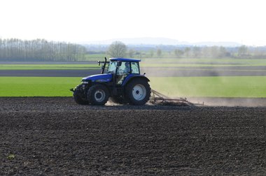 Beet cultivation in Germany 2010
