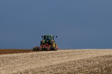 Beet cultivation in Germany 2010